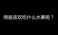 熊最喜歡吃什么水果呢？熊最喜歡吃什么水果英語(yǔ)