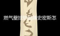 燃?xì)獗趻鞝t品牌史密斯怎么樣（燃?xì)獗趻鞝t品牌）