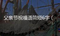 父親節祝福語簡短6字（簡短父親節祝語5個字）