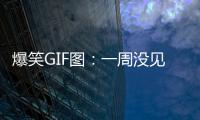 爆笑GIF圖：一周沒(méi)見(jiàn)男朋友的你，給這個(gè)攝影師加雞腿！