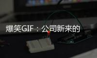 爆笑GIF：公司新來的女職員，本想辭職的我決定留下來