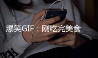 爆笑GIF：剛吃完美食，沒擦嘴的時候大概就是這樣的