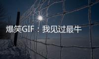 爆笑GIF：我見過最牛的堵門