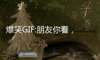 爆笑GIF:朋友你看，這片草原綠不綠？