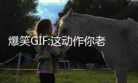 爆笑GIF:這動作你老婆能完成嗎？