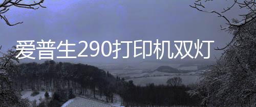 愛普生290打印機雙燈同時閃（愛普生330打印機雙閃）