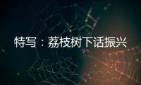 特寫(xiě)：荔枝樹(shù)下話振興