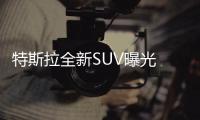 特斯拉全新SUV曝光 3月14日發布/26萬元起售