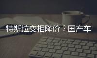 特斯拉變相降價？國產(chǎn)車型限時保險補(bǔ)貼8千