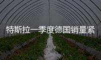 特斯拉一季度德國銷量緊追保時捷