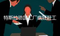 特斯拉德國工廠瘋狂趕工 預計10個月建成