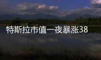 特斯拉市值一夜暴漲3800億，特斯拉股價一周飆漲33%