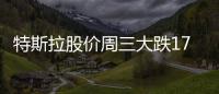 特斯拉股價(jià)周三大跌17%創(chuàng)史上最大跌幅