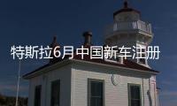 特斯拉6月中國新車注冊量環(huán)比增長23%