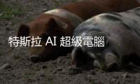 特斯拉 AI 超級電腦來勢猛，臺供應鏈沾光