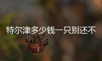 特爾津多少錢一只別還不知道，普通藥店有沒有賣這篇說清