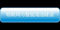 物聯(lián)網(wǎng)與智能海油建設