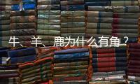 牛、羊、鹿為什么有角？遺傳學給出答案