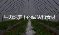 牛肉燉蘿卜的做法和食材用料及健康功效