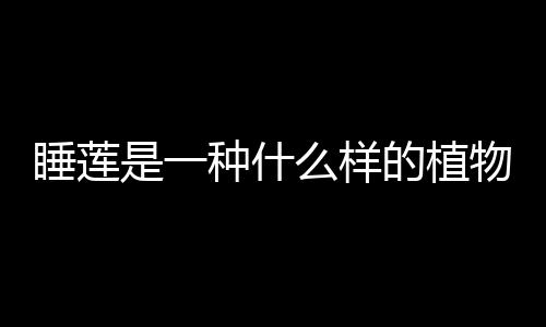 睡蓮是一種什么樣的植物呢 睡蓮的作用有什么呢