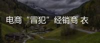 電商“冒犯”經銷商 衣柜企業如何讓其息怒?