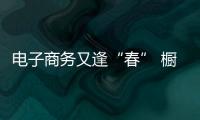 電子商務(wù)又逢“春” 櫥柜企業(yè)部署要深思熟慮