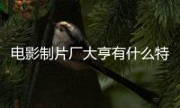 電影制片廠大亨有什么特色內容