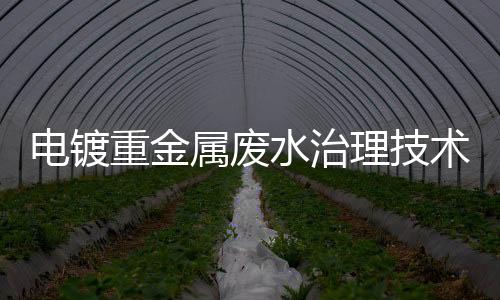 電鍍重金屬廢水治理技術的現狀及展望