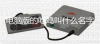 電腦版的吃雞叫什么名字?（電腦版的吃雞叫什么名字）