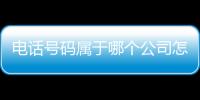 電話號(hào)碼屬于哪個(gè)公司怎么查（查電話號(hào)碼歸屬公司）