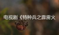 電視劇《特種兵之霹靂火》中傅程鵬扮演什么角色？