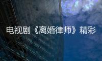 電視劇《離婚律師》精彩劇情介紹、演員表【電視劇】風尚中國網