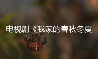 電視劇《我家的春秋冬夏》全集劇情介紹