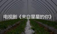 電視劇《來自星星的你》千頌伊稱只要漂亮就行