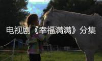 電視劇《幸福滿滿》分集劇情介紹