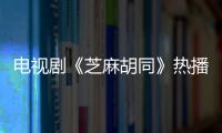 電視劇《芝麻胡同》熱播 張鈿悅展靈氣演技獲贊