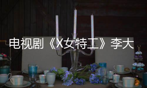 電視劇《X女特工》李大山資料照片介紹