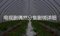 電視劇偶然分集劇情詳細介紹21