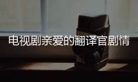 電視劇親愛的翻譯官劇情簡介