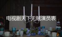 電視劇天下無賊演員表