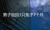 男子撿回3只兔子7個月繁殖近百只 一不小心成了養(yǎng)兔個體戶！