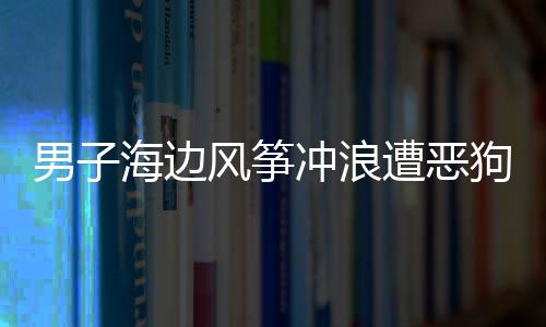 男子海邊風箏沖浪遭惡狗追咬 胳膊被咬開花縫18針