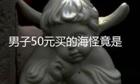 男子50元買的海怪竟是國保中華鱟 是“海洋活化石”！！