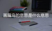 畫眉鳥的意思是什么意思啊？畫眉鳥的意思是什么意思呀