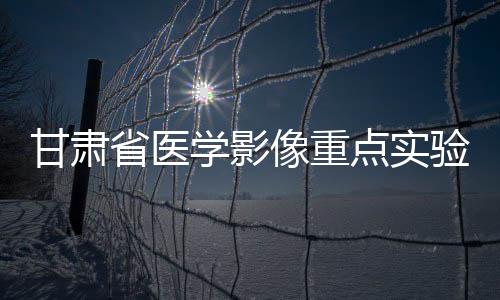 甘肅省醫學影像重點實驗室順利通過驗收