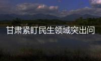 甘肅緊盯民生領域突出問題身邊事入手解決急難愁盼