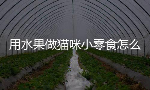 用水果做貓咪小零食怎么做？貓貓水果