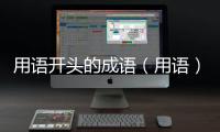 用語開頭的成語（用語）