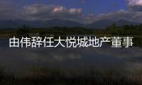 由偉辭任大悅城地產(chǎn)董事長，陳朗接任