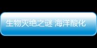 生物滅絕之謎 海洋酸化或?qū)е碌厍蚴飞献畲笠?guī)模物種滅絕